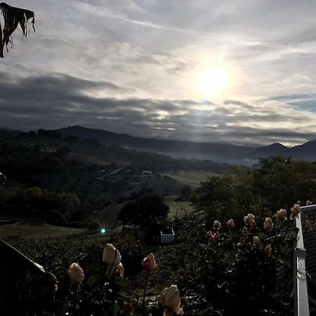 Hacienda San Francisco Villa Prado Del Rey Dış mekan fotoğraf