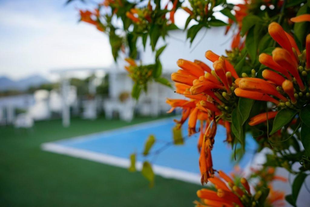 Hacienda San Francisco Villa Prado Del Rey Dış mekan fotoğraf